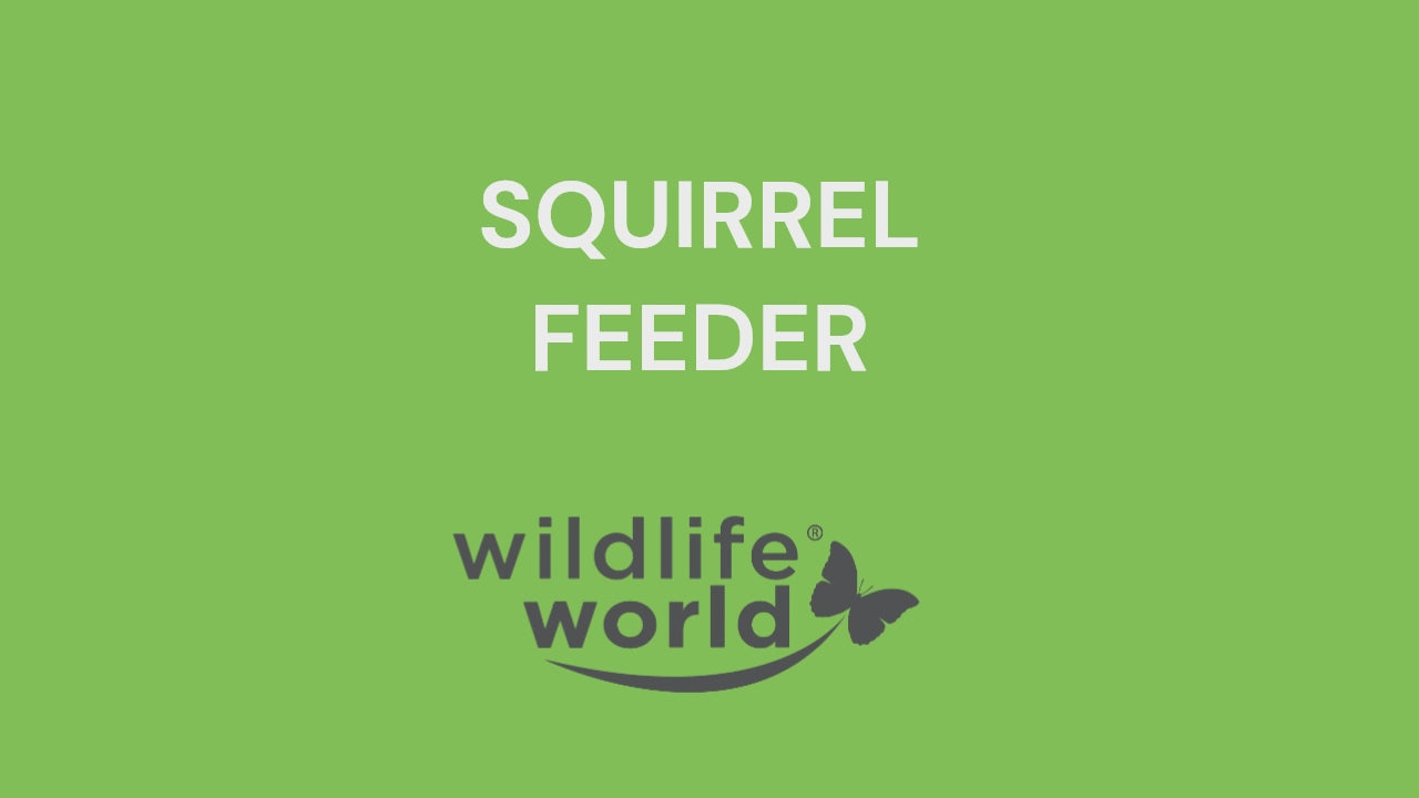 Squirrel Feeder