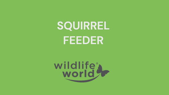 Squirrel Feeder