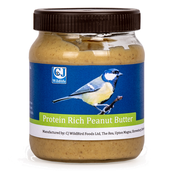 Protein Rich Peanut Butter for Birds