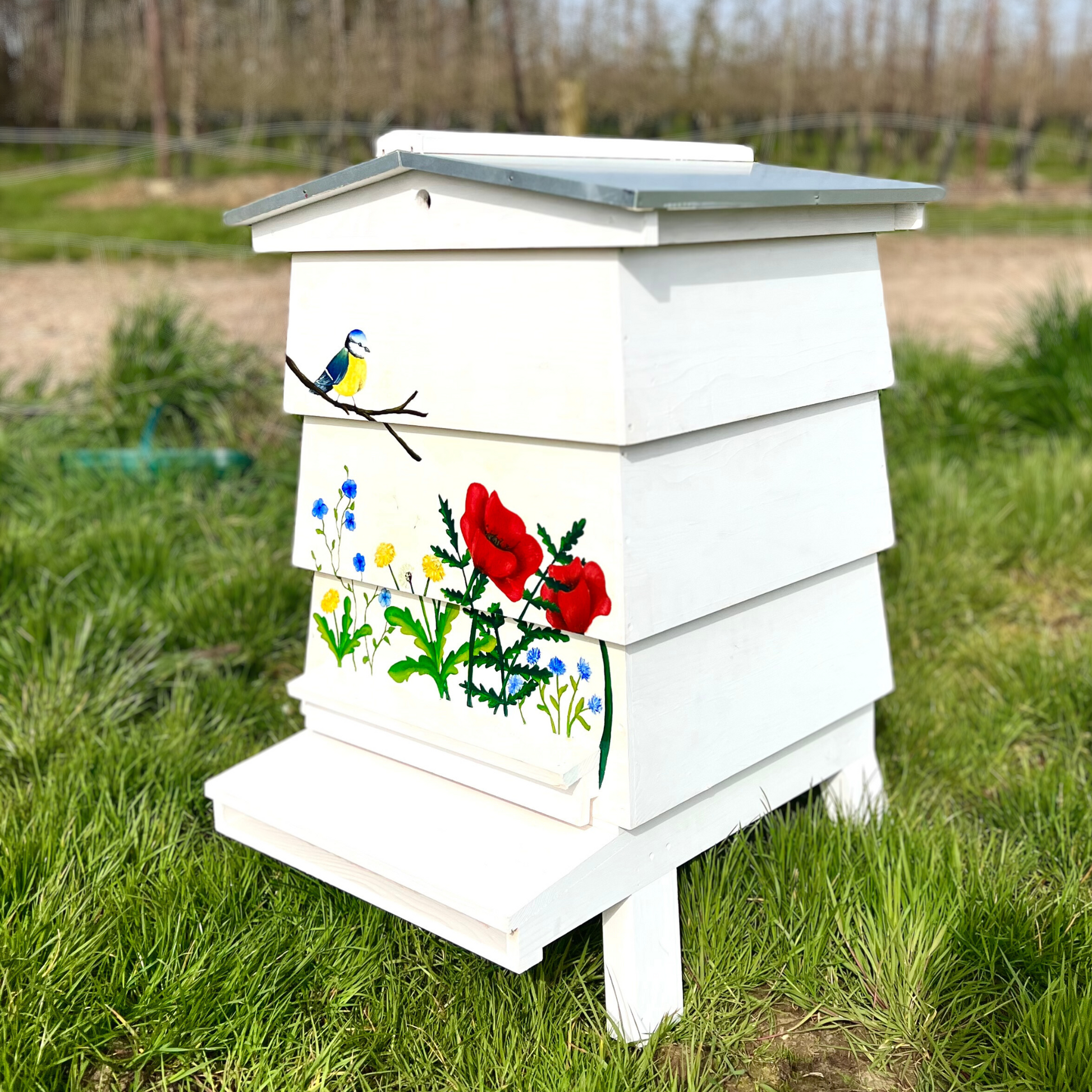 WBC Hive With Frames & Foundation - Pine – Hagen's Bees
